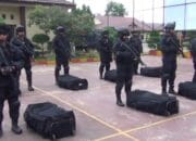 Gegana Korps Brimob Polri: Sejarah, Keahlian, dan Peran Vitalnya di Indonesia