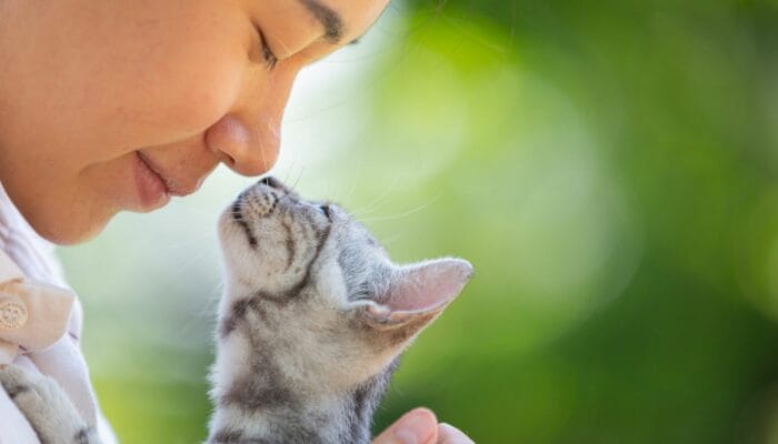 Kucing Cinta Kamu? Ini 12 Cara Mereka Mengungkapkan Perasaan Mereka