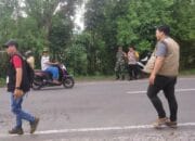 Pelaksanaan Penertiban APK di Labuapi: Sinergi Pemerintah dan Masyarakat