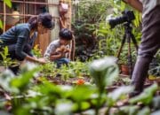 Arboretum, Keindahan Alam yang Penuh Manfaat Ilmiah dan Edukasi