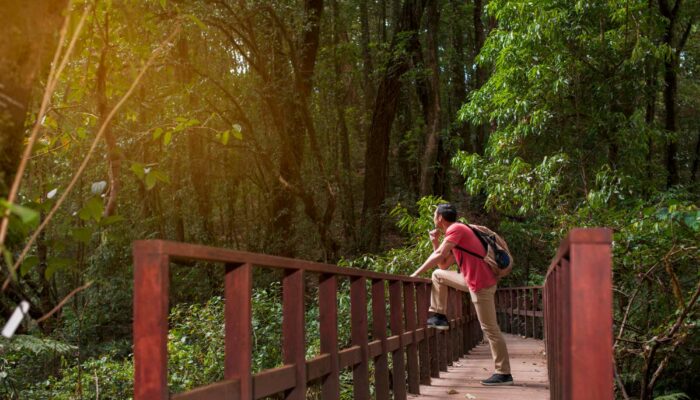 Detox Digital: Bikin Hidup Lebih Tenang, Gak Melulu Soal Notif!