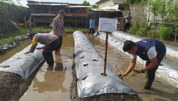 Inisiatif Pangan Bergizi di Desa Jagarga Indah: Solusi Ketahanan Pangan yang Berkelanjutan