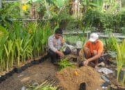 Pentingnya Program Ketahanan Pangan, Polsek labuapi Ajak Warga Tanam Sayuran