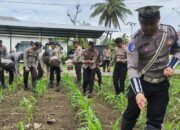 Polres Lombok Utara Kembali Gelar Pemupukan ke 2 Program Asta Cita Ketahanan Pangan