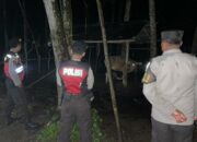 Patroli Dini Hari Polsek Sekotong: Jaga Ternak Warga dari Aksi Kriminalitas