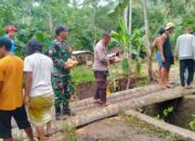 Gotong Royong TNI-Polri & Warga Sekotong: Jalan Putus Kembali Terhubung!