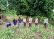 Sat Binmas Polres Bima Kota Laksanakan Pengecekan Pekarangan Pangan Bergizi (P2B) di Rutan Raba