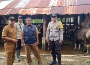 Bhabinkamtibmas Kelurahan Penaraga Monitoring Vaksinasi PMK oleh Dinas Pertanian dan Perternakan Kota Bima