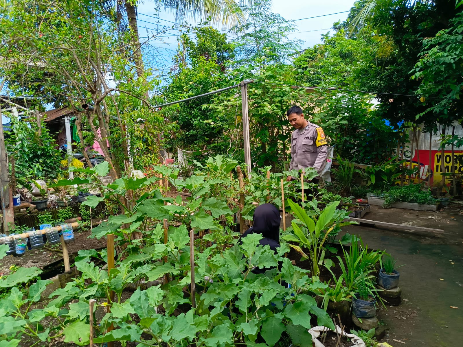 Ketahanan Pangan: Polisi Bantu Warga Optimalkan Pekarangan Rumah