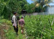 Polisi dan Warga Bersinergi Wujudkan Pekarangan Bergizi di Labuapi
