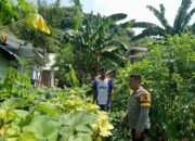 Bhabinkamtibmas Kendo Cek Pekarangan Pangan Bergizi untuk Dukung Ketahanan Pangan Nasional