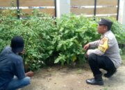 Kapolsek Sekotong Sambangi Warga, Pantau Program Pekarangan Bergizi