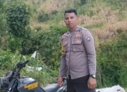 Bhabinkamtibmas Desa Rai Oi Bantu Warga Panen Jagung dalam Rangka Ketahanan Pangan Nasional