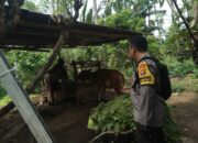 Bhabinkamtibmas di Batulayar Dorong Warga Manfaatkan Pekarangan untuk Ketahanan Pangan