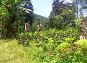 Polisi Bantu Warga Tanam Sayur, Ketahanan Pangan Meningkat di Batulayar