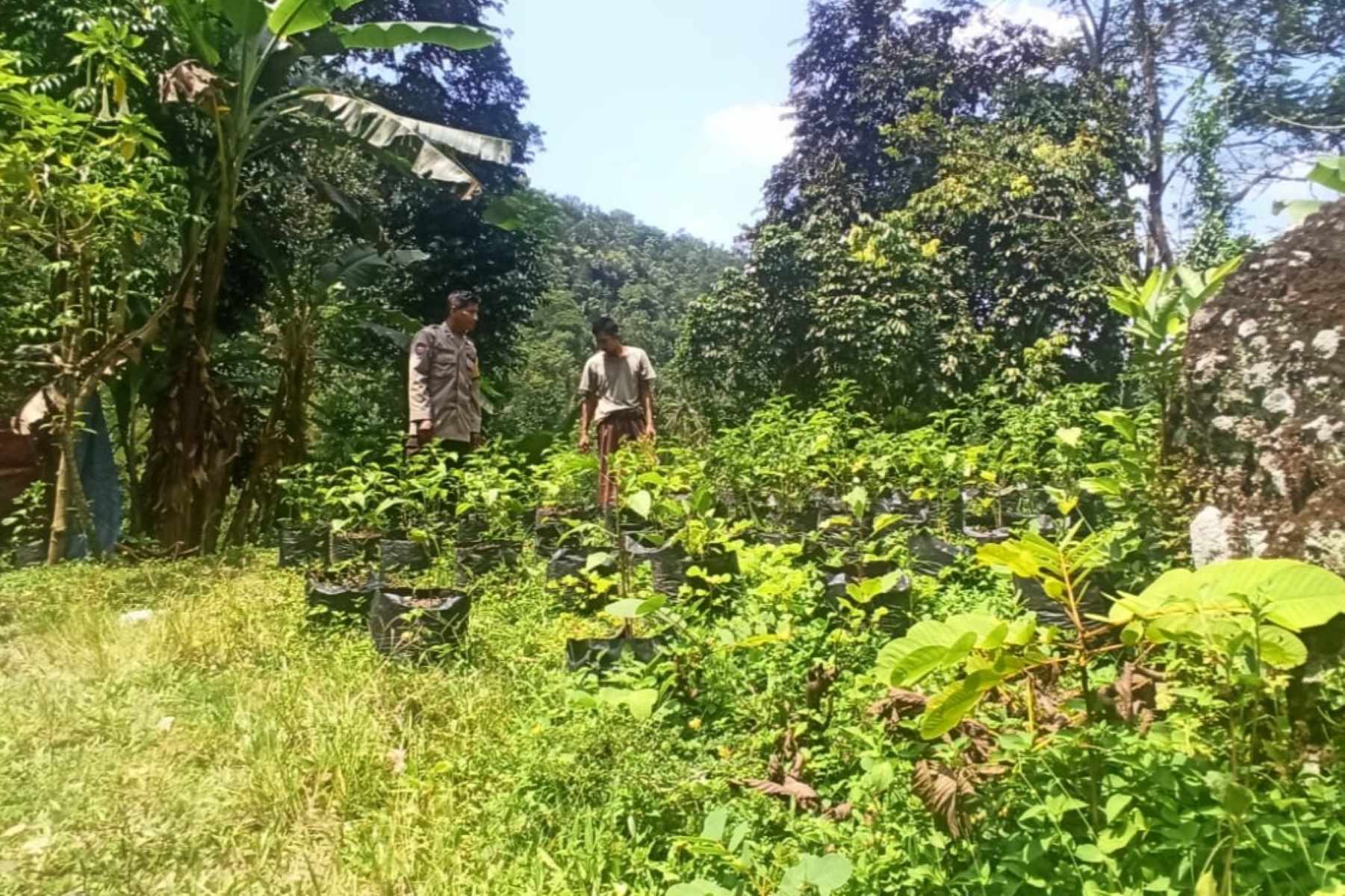 Polisi Bantu Warga Tanam Sayur, Ketahanan Pangan Meningkat