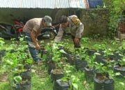 Bhabinkamtibmas Dampingi Warga Kembangkan Pekarangan Bergizi di Desa Batulayar
