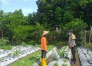 Bhabinkamtibmas Ajak Warga Jagaraga Mandiri Pangan