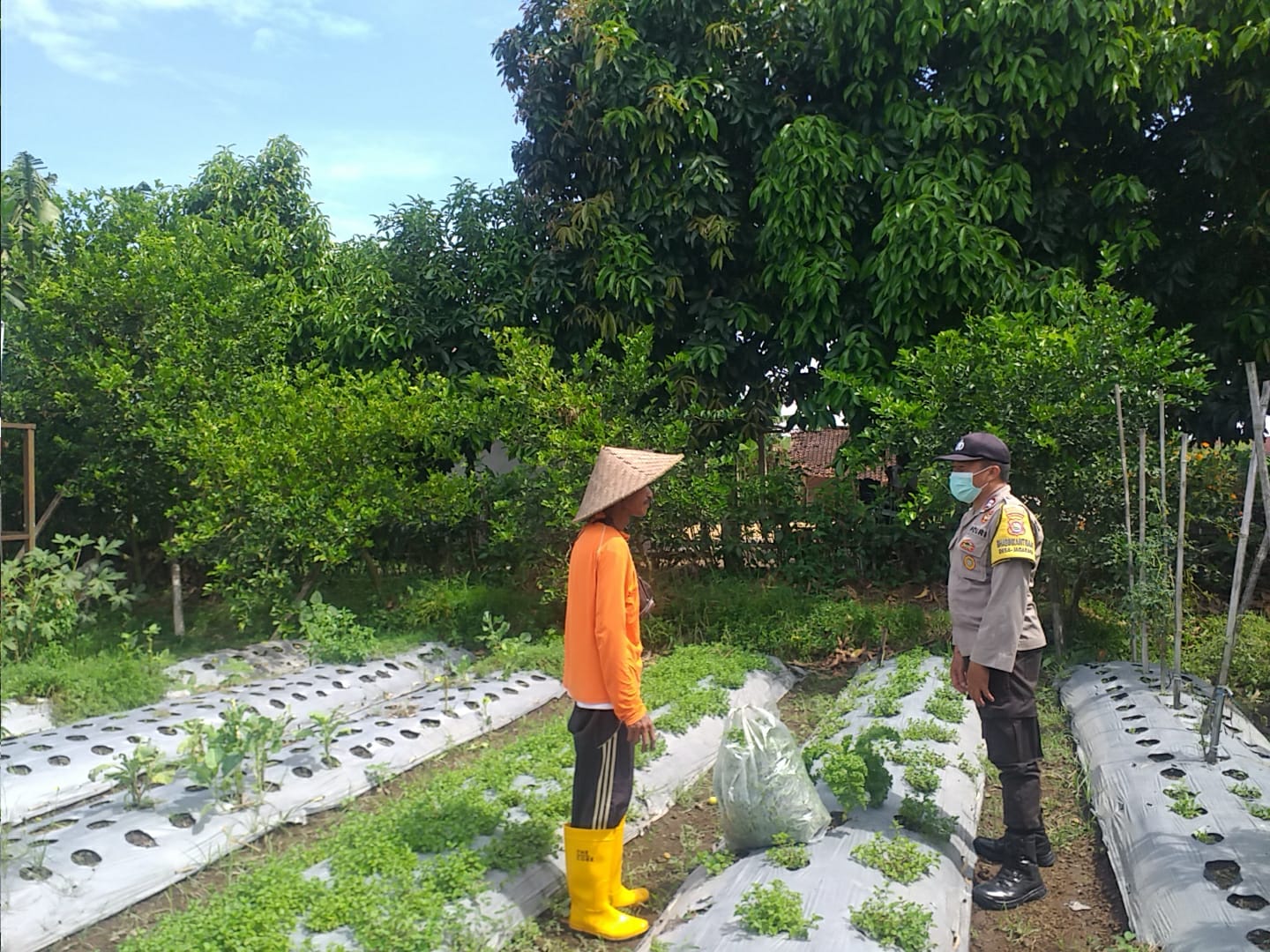 Warga Jagaraga Semangat Tanam, Berkat Dorongan Polisi