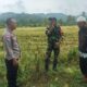 Kedekatan Polisi dan Petani, Panen Jadi Nyaman
