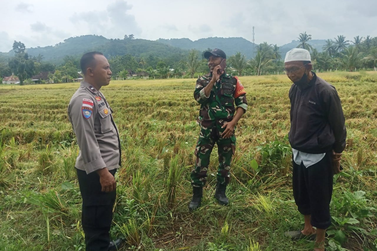 Kedekatan Polisi dan Petani, Panen Jadi Nyaman