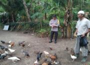 Dekat dengan Warga, Polisi Dorong Pemanfaatan Lahan Pekarangan di Batulayar