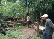 Polisi di Lombok Barat Aktif Dukung Ketahanan Pangan Warga