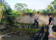 Pemuda Kuripan Tanam Harapan Lewat Sayur dan Ikan