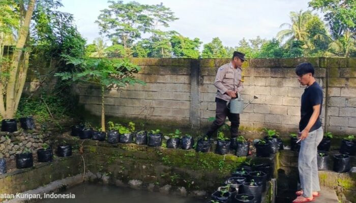 Pemuda Kuripan Tanam Harapan Lewat Sayur dan Ikan