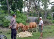Polri Aktif Dukung Ketahanan Pangan Lombok Barat: Edukasi Pertanian untuk Warga