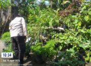 Polsek Kuripan Dukung Ketahanan Pangan Warga Desa Jagaraga