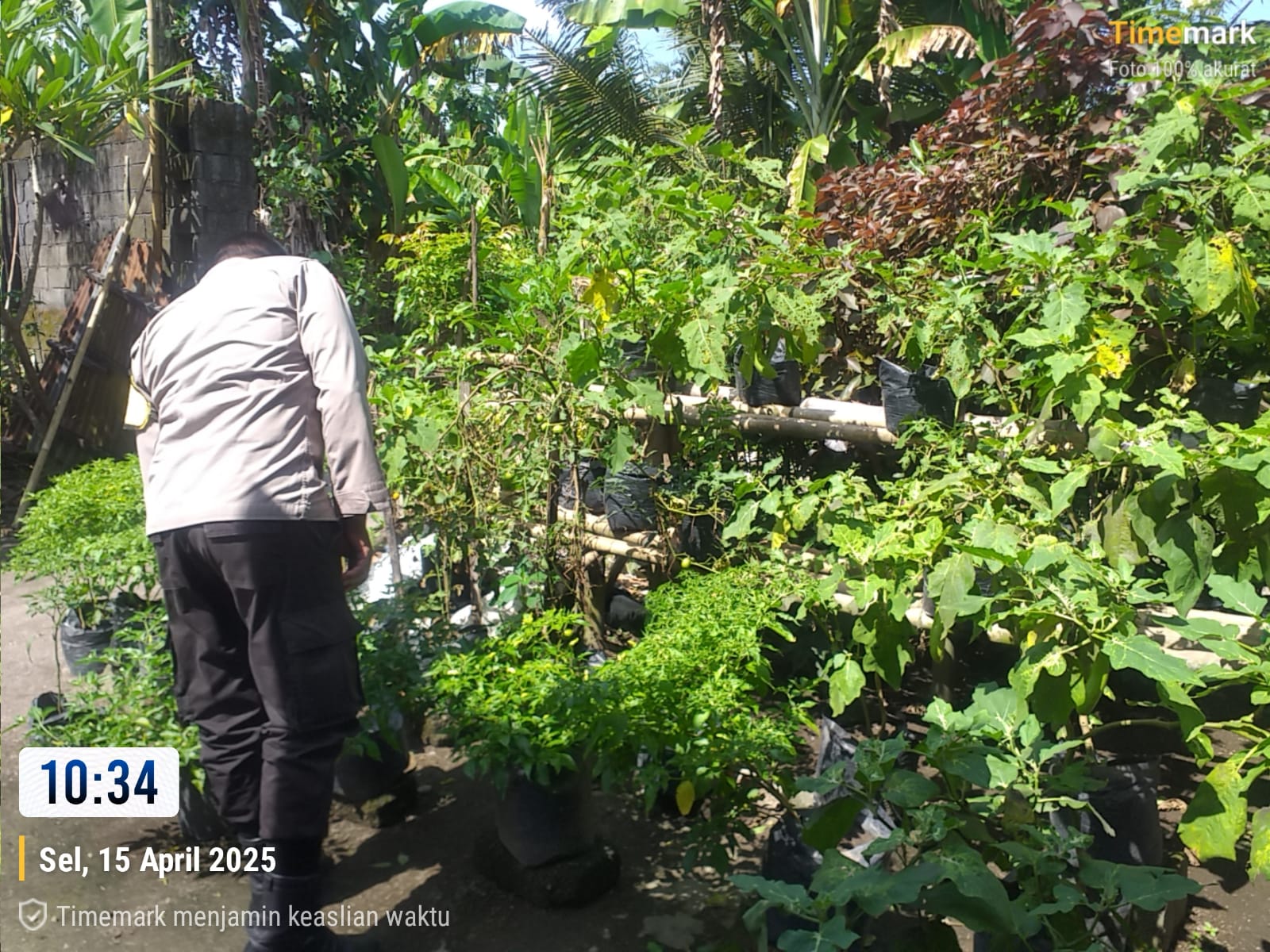 Bhabinkamtibmas Kuripan Aktif Sosialisasikan Program Pangan