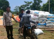 Dukung Ketahanan Pangan, Bhabinkamtibmas Kelurahan Nitu Lakukan Pengecekan Hasil Panen Jagung Petani