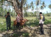 Pemanfaatan Pekarangan untuk Ketahanan Pangan di Batulayar