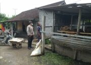 Bhabinkamtibmas Jagaraga Dorong Ketahanan Pangan Berbasis Komunitas