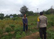 Polsek Kuripan Dorong Partisipasi Masyarakat dalam Program Ketahanan Pangan Nasional