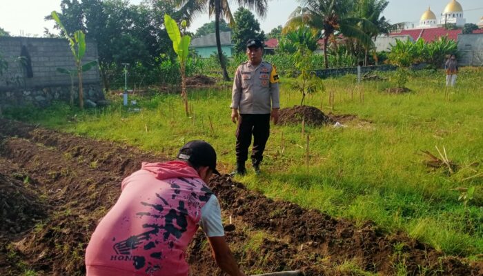 Bhabinkamtibmas Lombok Barat Aktif Dorong Warga Manfaatkan Pekarangan