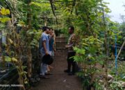 Polsek Kuripan Dorong Ketahanan Pangan Lewat Kolaborasi Pemuda