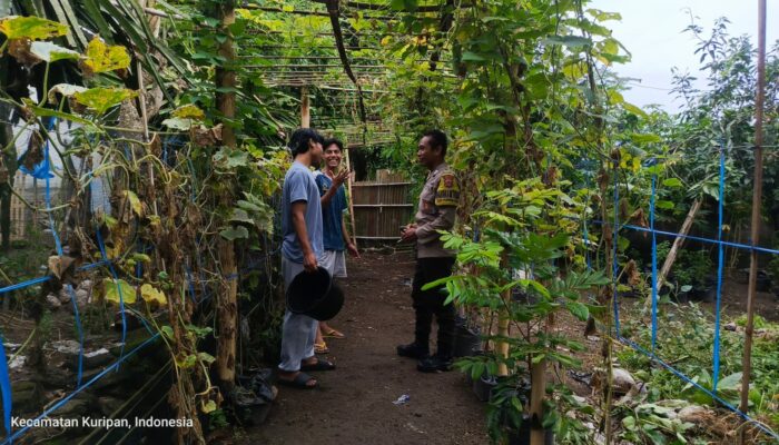 Polsek Kuripan Dorong Ketahanan Pangan Lewat Kolaborasi Pemuda
