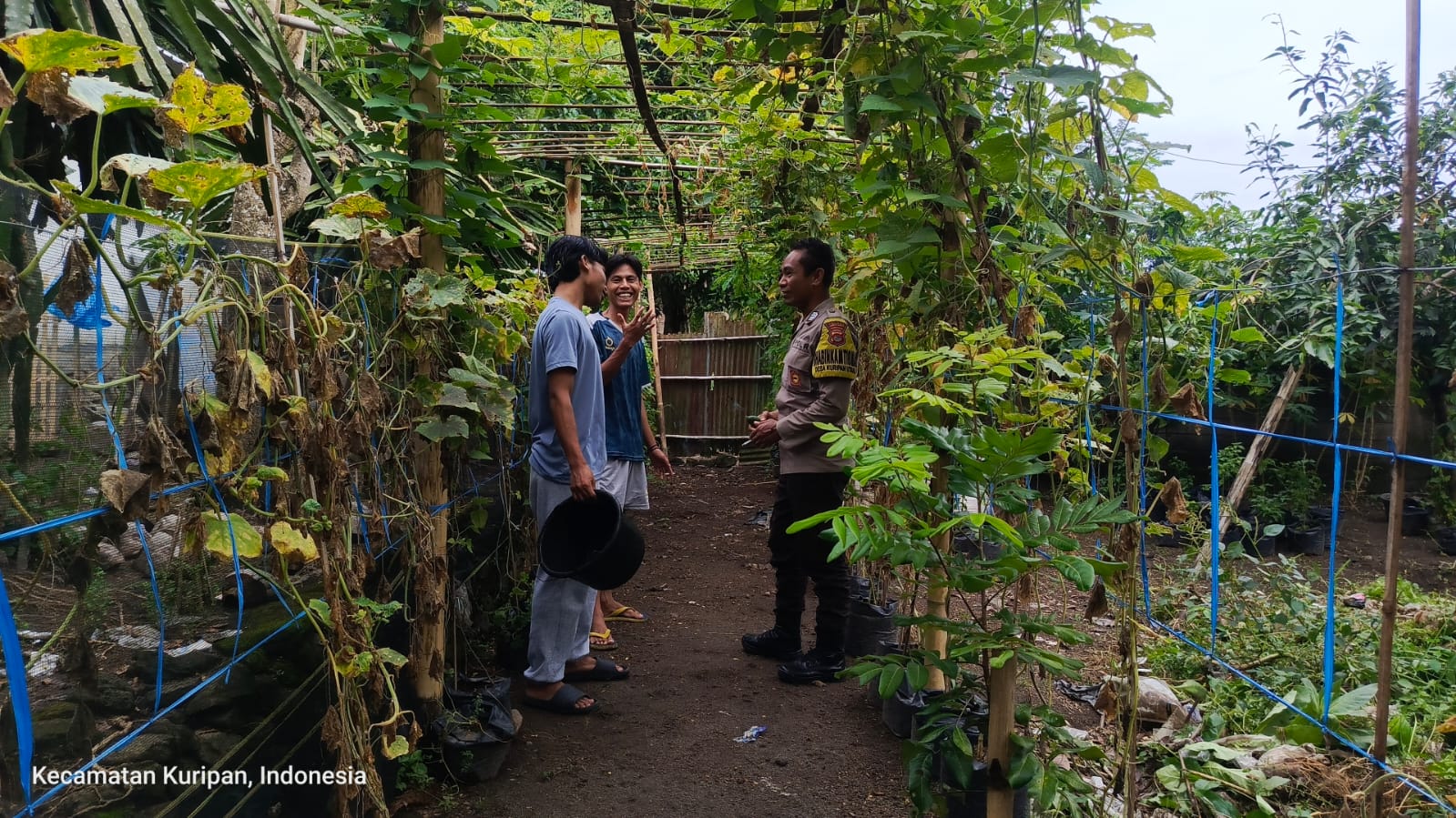 Lombok Barat, NTB – Kepolisian Sektor Kuripan, melalui personel Bhabinkamtibmasnya, terus menunjukkan komitmen dalam mendekatkan diri dengan masyarakat sekaligus mendukung program-program strategis pemerintah hingga ke tingkat akar rumput. Salah satu wujud nyata dari upaya ini terlihat pada Rabu (14/05/2025), ketika Bhabinkamtibmas Desa Kuripan Utara melaksanakan kunjungan dan silaturahmi di Dusun Pesongoran. Fokus utama kunjungan kali ini adalah menyambangi Komunitas Pemuda Peduli Lingkungan yang berlokasi di dusun tersebut. Pertemuan yang berlangsung santai namun penuh makna ini dimulai sekitar pukul 09.30 WITA dan dihadiri oleh sejumlah perwakilan pemuda anggota komunitas. Meningkatkan Sinergi dan Kesadaran Pangan Lokal Kegiatan yang diinisiasi oleh Bhabinkamtibmas Desa Kuripan Utara ini bertujuan ganda: pertama, mempererat jalinan silaturahmi dan komunikasi yang sudah terjalin baik antara pihak kepolisian dengan warga binaan, khususnya komunitas pemuda. Kedua, dan tak kalah pentingnya, adalah mensosialisasikan serta mendorong partisipasi aktif komunitas dalam program ketahanan pangan nasional, dengan fokus pada skala rumah tangga dan komunitas. Di tengah tantangan global terkait ketersediaan pangan, inisiatif di tingkat lokal seperti yang digaungkan oleh Bhabinkamtibmas ini menjadi sangat relevan. Konsep ketahanan pangan yang disampaikan merujuk pada kemandirian dalam memenuhi kebutuhan pangan keluarga atau komunitas, salah satunya melalui pemanfaatan lahan pekarangan kosong yang kerap kali belum termanfaatkan secara optimal. Pentingnya Peran Pemuda dan Pemanfaatan Pekarangan Memilih Komunitas Pemuda Peduli Lingkungan sebagai sasaran sosialisasi bukanlah tanpa alasan. Kaum muda memiliki energi, kreativitas, dan potensi besar sebagai agen perubahan di masyarakat. Keterlibatan mereka dalam program ketahanan pangan diharapkan dapat menjadi penggerak dan contoh bagi warga lainnya, sekaligus menumbuhkan kesadaran akan pentingnya kemandirian pangan dari usia dini. Dalam dialog yang interaktif, Bhabinkamtibmas menjelaskan betapa mudahnya memulai program ketahanan pangan mandiri. Dengan menanam sayuran atau tanaman pangan lainnya di pekarangan kosong, warga dapat menghasilkan sumber pangan yang sehat, segar, dan tentunya menghemat biaya belanja. Selain itu, kegiatan berkebun juga bisa menjadi hobi positif yang produktif bagi para pemuda. Berbagai jenis sayuran yang cocok ditanam di pekarangan, seperti cabai, tomat, terong, bayam, atau kangkung, dibahas sebagai contoh konkret. Dukungan Penuh dari Pihak Kepolisian Sektor Kuripan Menanggapi kegiatan positif ini, Kapolres Lombok Barat, Polda NTB, AKBP Yasmara Harahap, S.I.K., melalui Kapolsek Kuripan, Polres Lombok Barat, Ipda I Wayan Eka Ariyana, S.H., menyampaikan apresiasinya. Menekankan bahwa kegiatan seperti ini merupakan bagian integral dari tugas kepolisian, khususnya Bhabinkamtibmas, dalam melakukan pembinaan masyarakat. "Kegiatan ini sangat positif. Kami dari Kepolisian, khususnya Bhabinkamtibmas, memiliki peran strategis dalam membina masyarakat hingga ke tingkat dusun. Program ketahanan pangan ini bukan hanya soal menanam, tapi juga membangun kemandirian masyarakat," ujar Ipda I Wayan Eka Ariyana. Kapolsek menambahkan, bahwa mengapresiasi partisipasi aktif komunitas pemuda di Kuripan Utara ini. “Mereka adalah aset penting dalam mewujudkan lingkungan yang lestari sekaligus mendukung ketahanan pangan lokal. Sinergi antara Polri dan masyarakat, terutama generasi muda, sangat krusial untuk menjaga stabilitas dan kesejahteraan,” ujarnya.