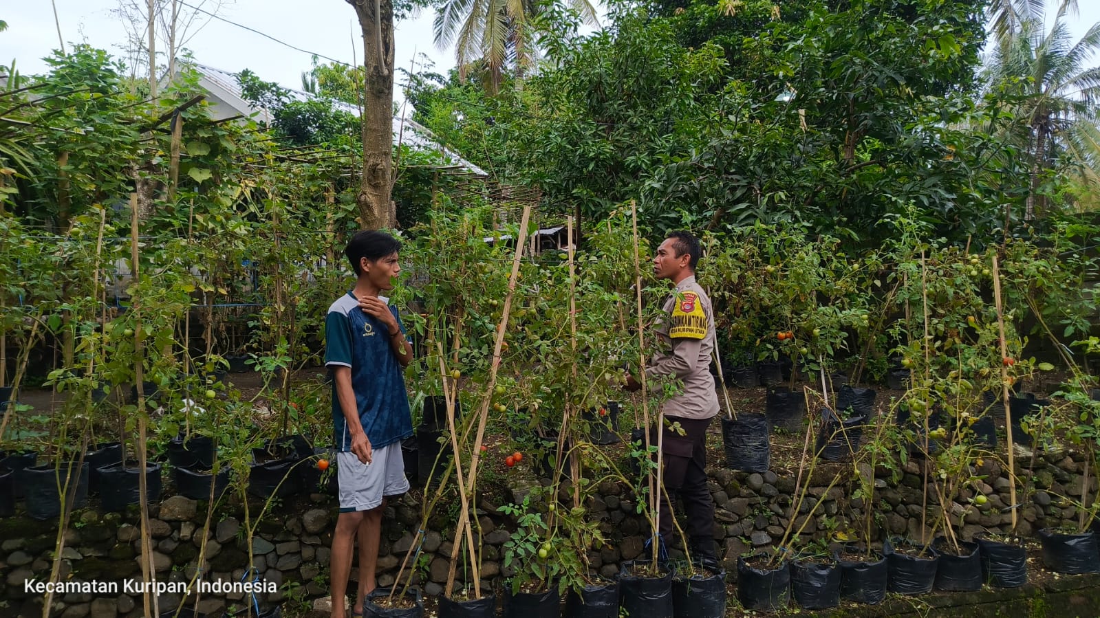 Peran Aktif Polisi dan Pemuda dalam Wujudkan Ketahanan Pangan Lokal