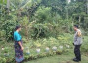 Polsek Batulayar Dorong Kemandirian Pangan Lewat Pemanfaatan Lahan Pekarangan