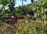 Polisi Ketuk Pintu Petani, Lombok Barat Heboh!