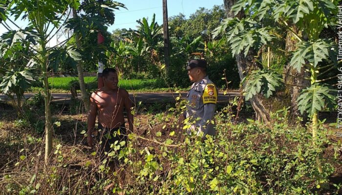 Polisi Ketuk Pintu Petani, Lombok Barat Heboh!