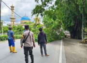 Penertiban dan Pemangkasan Pohon di Jalan Yos Sudarso, Lembar untuk Keselamatan Pengguna Jalan