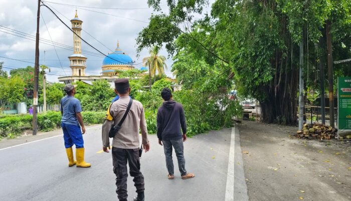 Penertiban dan Pemangkasan Pohon di Jalan Yos Sudarso, Lembar untuk Keselamatan Pengguna Jalan