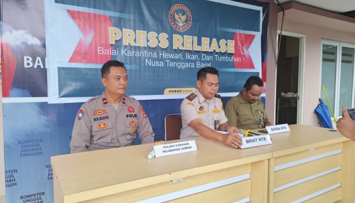 Sinergi BKHIT NTB dan Polri Amankan 81 Burung Satwa Dilindungi di Pelabuhan Lembar
