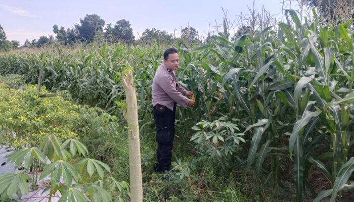 Sinergi Polisi dan Petani: Jaga Kamtibmas dan Ketahanan Pangan