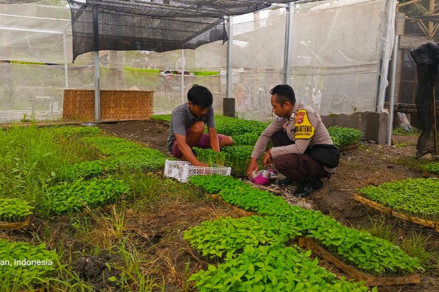 Strategi Polres Lombok Barat Tingkatkan Kemandirian Pangan Masyarakat Desa