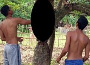 Pria di Sekotong Ditemukan Tewas Gantung Diri di Pohon Jambu Mete
